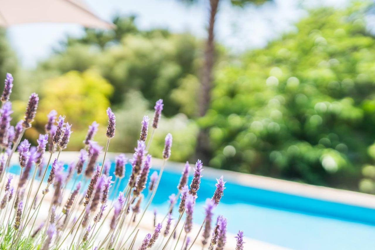 Ideal Mallorca - Flores * Crestatx